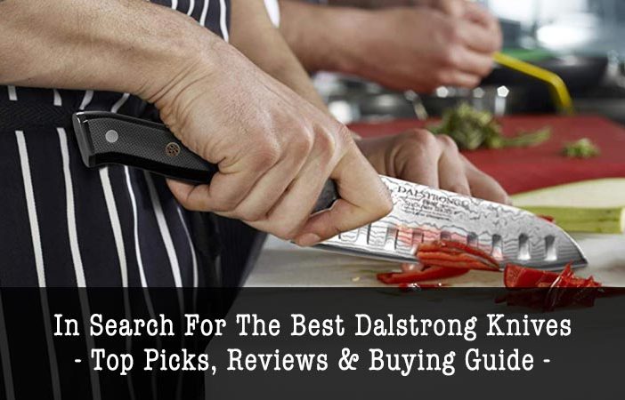 Best Dalstrong Knives
